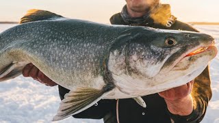 Simple Trick To Catching Big Lake Trout Ice Fishing