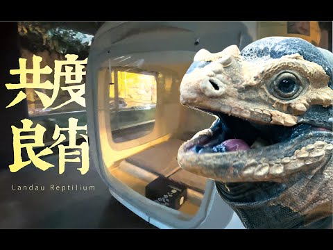 【夜宿德国最大爬行馆】是怎样的体验？Landau Reptilium·01