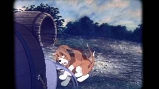 The Fox and the Hound A Lesson In Caution Walt Disney Educational Film  Hbvideos