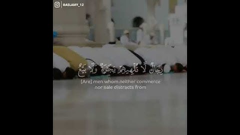 حالات واتس أب قرأن كريم   بصوت القارئ  ماهر المعيقلي    480P 1