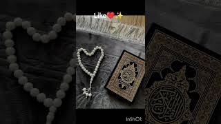 #hijab #nasheed #madinasharif #vocalsonly #lifeisbutadream