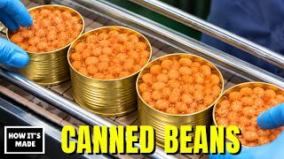 How Canned Beans Are Made - The Cheapest Superfood Nobody Thinks About