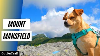 Thunder Jack Hikes to the Highest Point in Vermont [Mount Mansfield] - Hiking With Dogs