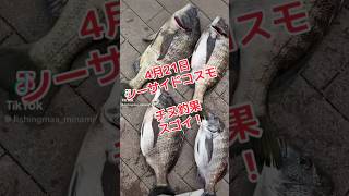 今日は凄いなあ、、、　#shorts #short