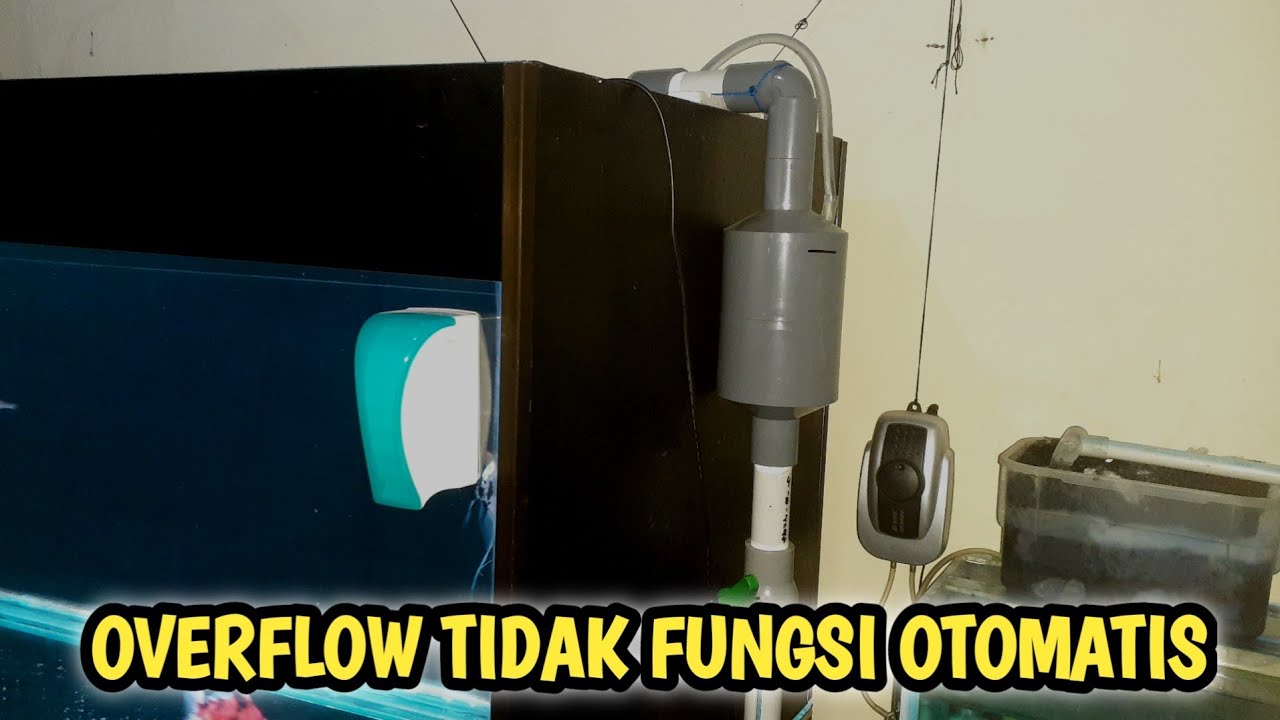 penyebab box overflow tidak berfungsi otimatis - YouTube