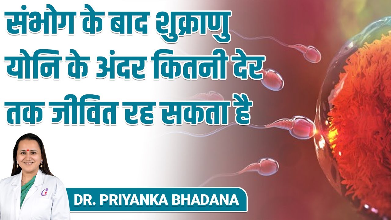 How Long Can Sperm Survive In The Female Reproductive Tract How Long Can Sperm Survive Inside the Female Reproductive System? - YouTube