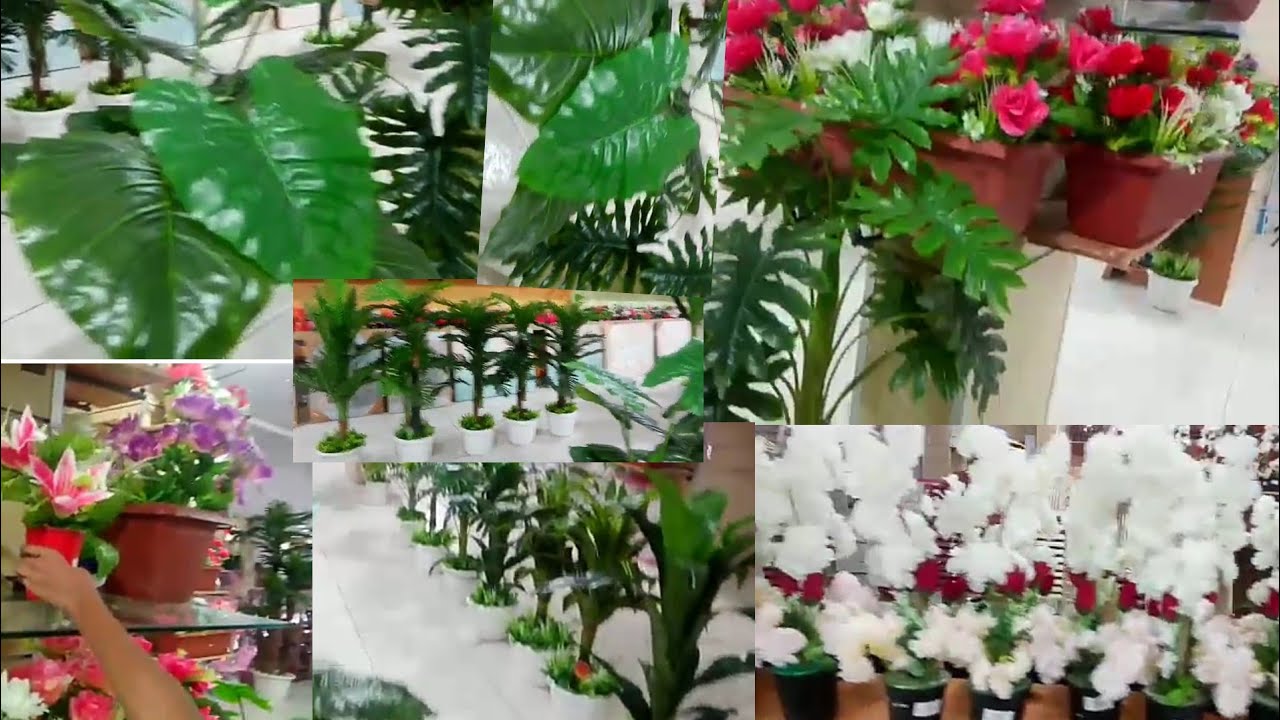 Plastic plants shop SaudiArabia YouTube