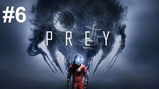 Prey | Part 6 | Arboritum