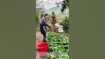 Farming Hacks: The Genius Bottle Irrigation Trick You Need to Try