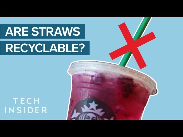 Why Plastic Straws Suck