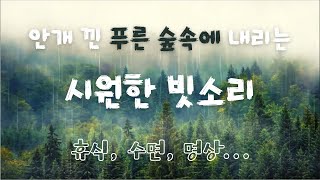 안개 낀 푸른 숲 속에 내리는 시원한 빗소리 The cool sound of rain falling in a foggy green forest #relax, #sleep