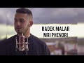 Radek malr  mri pheori cover gipsy kulik