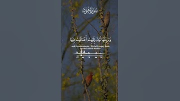 من كان يريد الحياة الدنيا وزينتها... | القارئ عبد الباسط Abdul Basit
