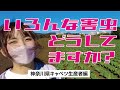 わかばがキャベツ栽培における害虫対策に迫る！"本音の農業"神奈川県編