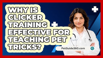 Why Is Clicker Training Effective For Teaching Pet Tricks? - PetGuide360.com