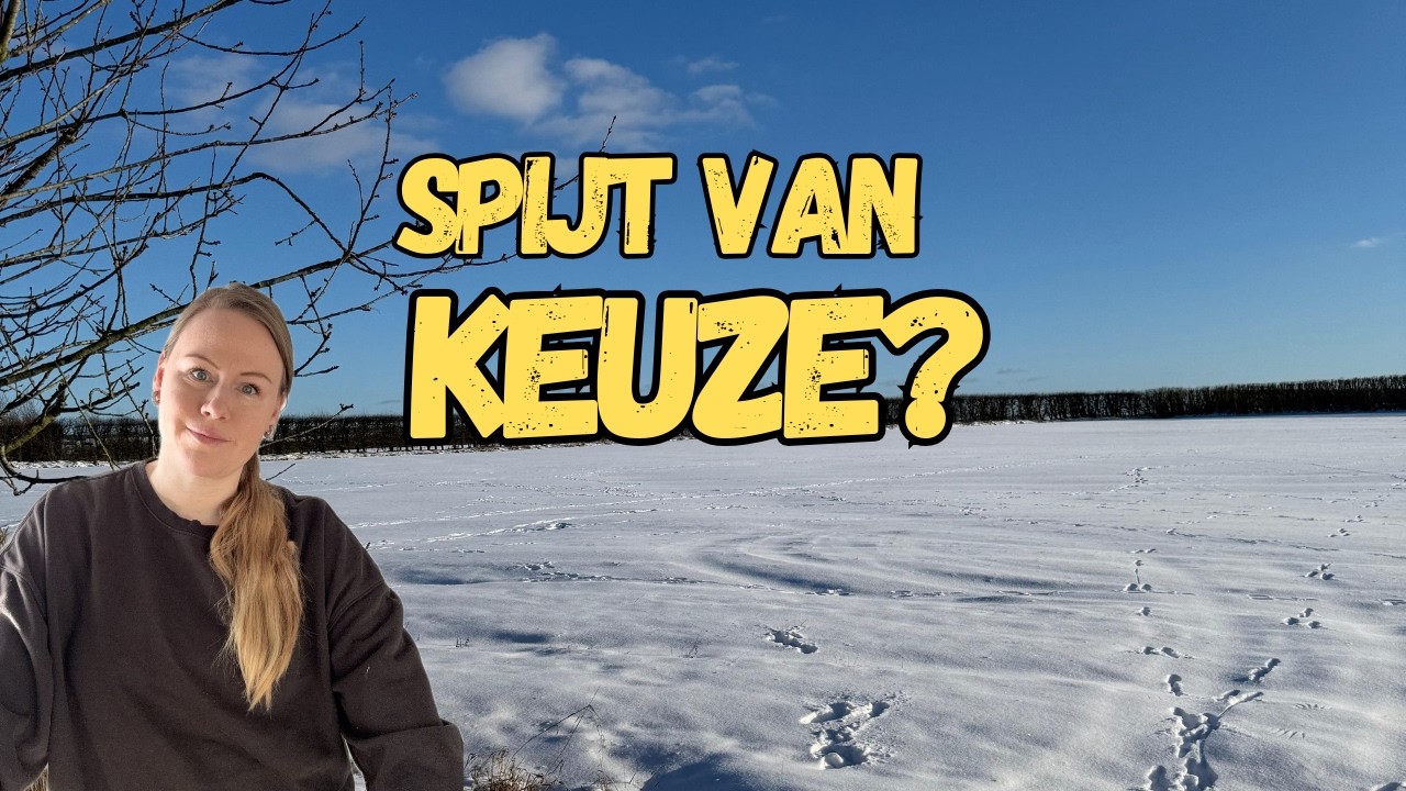 Hebben jullie spijt van emigreren naar Denemarken? | Q&A (deel 1)