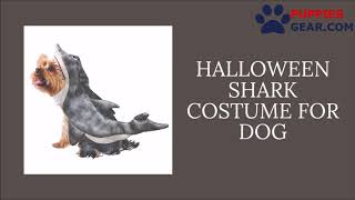 Halloween Shark Costume For Dog | Halloween Costume for Dog