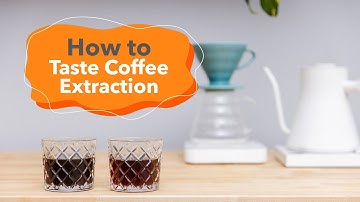 How To Taste Coffee Extraction | Advanced Brewing Skills Lab 2