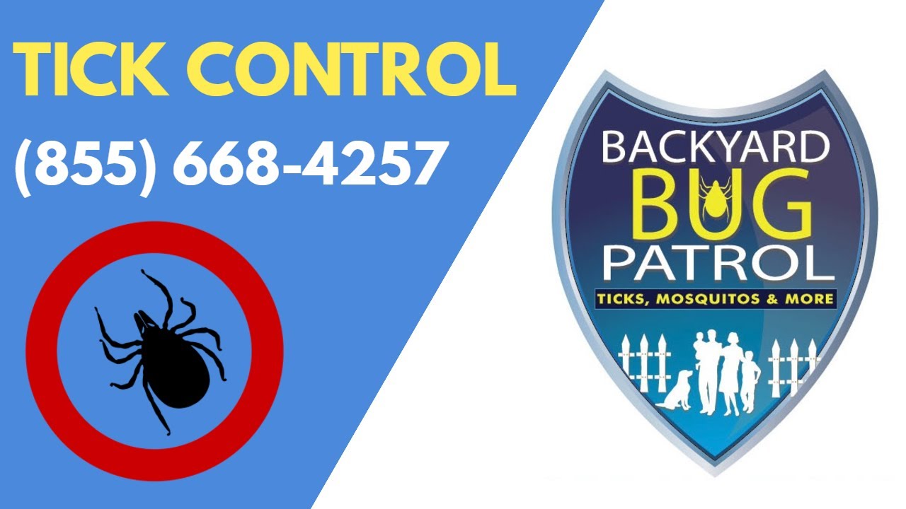 Backyard Bug Patrol Reviews - Green Pest Control Services in Great ...