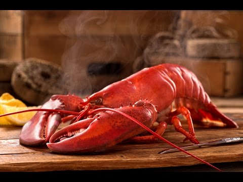 How To Correctly Cook Lobster