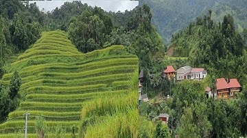 Bản Làng Vùng Cao Và Những Thửa Ruộng Bậc Thang Vào Mùa Lúa Chín Ở Hà Giang / Hoàng Minh 