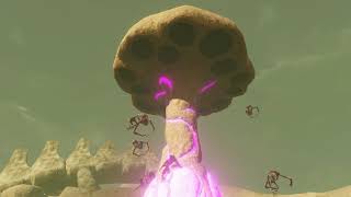 Hyrule Warriors: Chronik der Versiegelung - Wer in der Wüste wütet