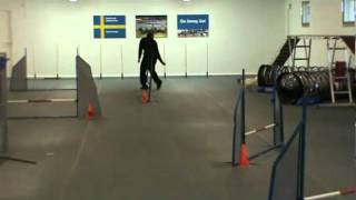 Tizla Ag I, Lotushallen 1411 2010