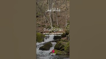 عبدالله بصفر يبدع في تلاوة تأسر القلوب بجمالها