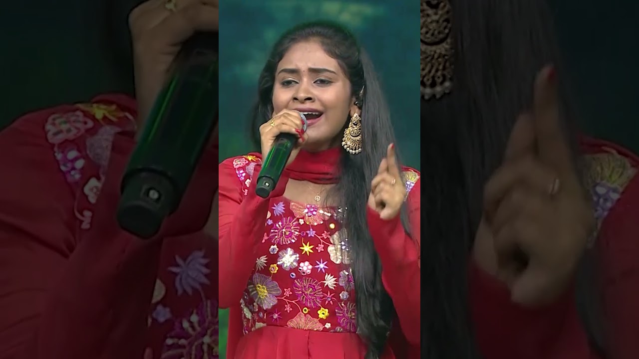 Chinna Chinna Vanna Kuyil 🎼 