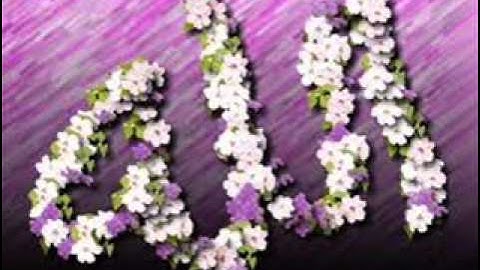 سورة المؤمنون من صلاة التراويح للشيخ حسن صالح