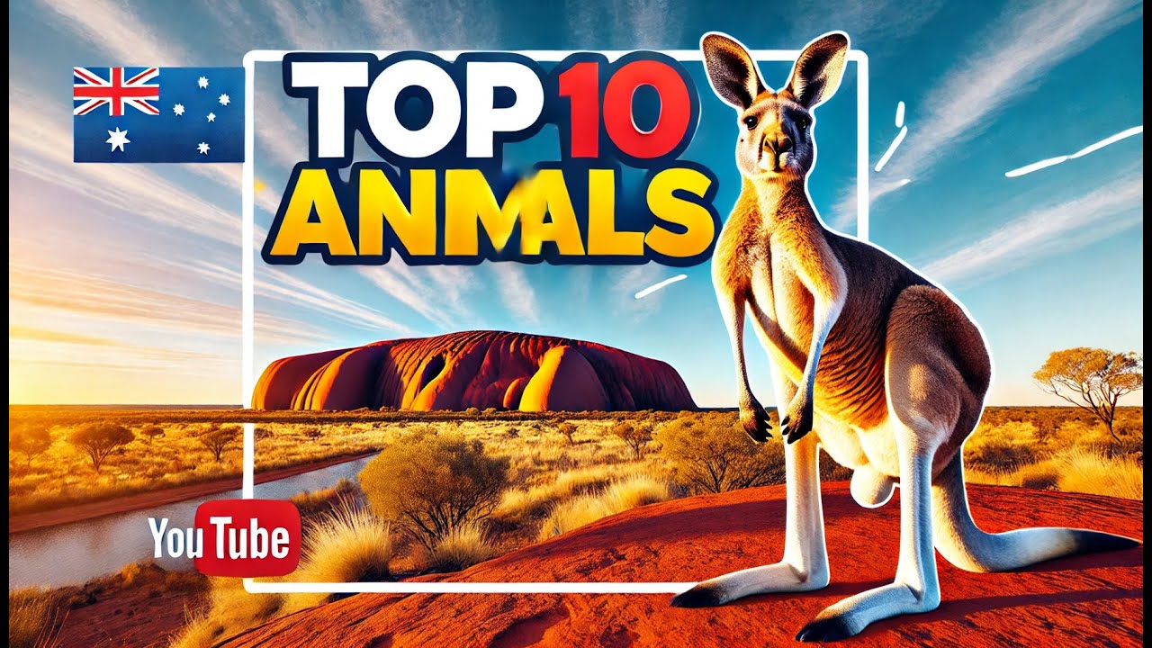 TOP 10 Animals Found Only In Australia