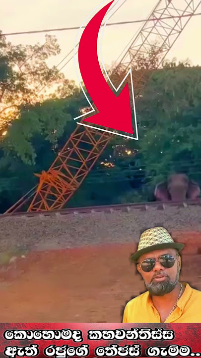 කාවන්තිස්ස ඇතුගේ තේජස් ගමන කොගොමද..පට්ට ගැම්මක් ඈ..