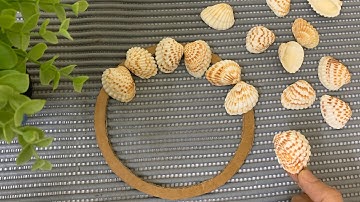 Seashell craft | Home Decorating Ideas with Seashells | Wall Decoration