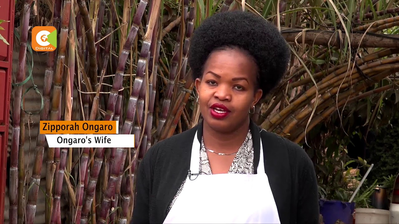 Still from SMART FARM | Urban Sugarcane Farming