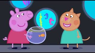 Peppa Pig English Full Episodes Compilation # 24 @falahfarahalqazzaz9230