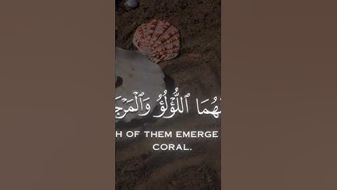 قران كريم بصوت جميل جدا والله اني احبك اكثر ماشاء الله تبارك الرحمن #ستريك #قنوات #أبيات_شعرية