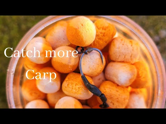 How make your own pop up rig for carp fishing in Telugu #2021