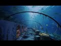 閉園した水族館に行ってきた