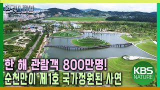 한해 관람객 800만명! 순천만은 어떻게 제 1호 국가정원이 되었나? [공존의 열쇠, 정원] / KBS 20151015 방송