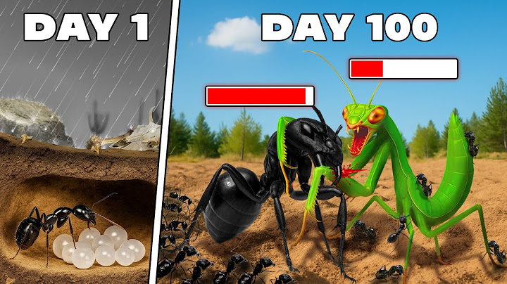 Simulating an Ant Colony for 100 Days 😱 ANTTREK