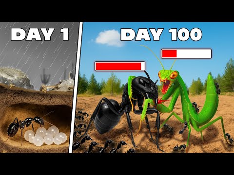 Simulating an Ant