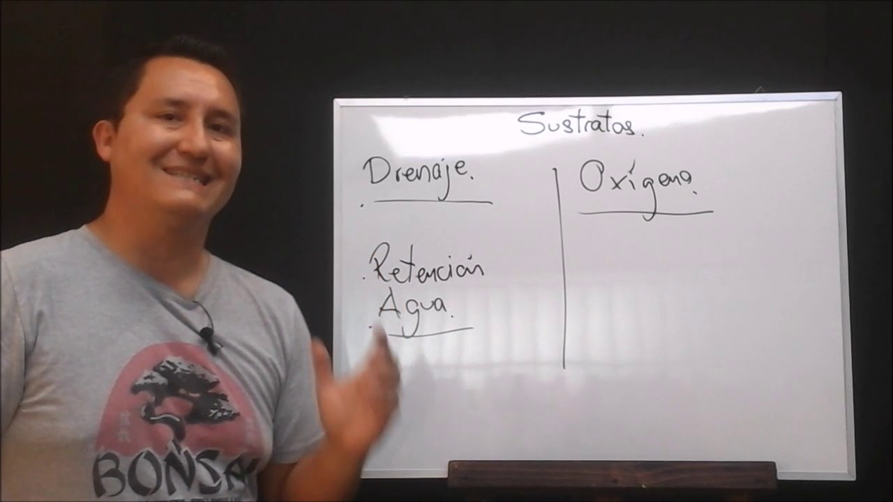 Las TRES Cualidades básicas que TODO Sustrato debe tener !!
