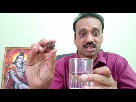 identify Real Rudraksha how to check original Water Test of Rudraksha Authenticity  Water