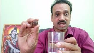 identify Real Rudraksha how to check original Water Test of Rudraksha Authenticity  Water Test