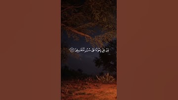 تلاوة هادئة الشيخ هزاع بلوشي سورة الحجر لها سبعة ابواب ♥️ #اكسبلور #هزاع_البلوشي