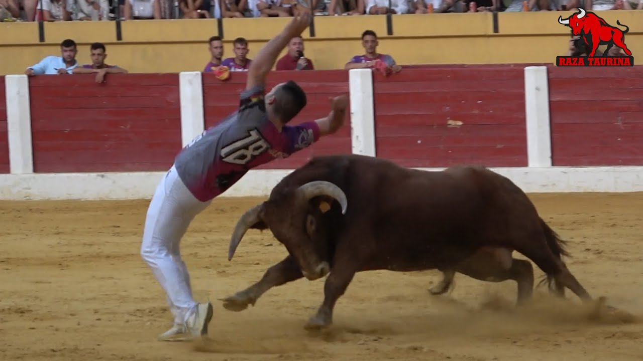 Segunda eliminatoria Campeonato Mundial de Cortes. Íscar. 28 Julio 2024