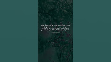 وقرن في بيوتكن ولا تبرجن تبرج الجاهلية الأولى عمر بن ضياء الدين #تلاوةالقرآن #تلاوة_خاشعة #قراءة