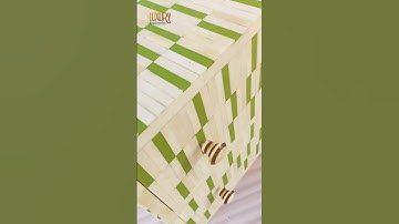Transform your space with our Handmade Bone Inlay Modern Design Bedside Table!