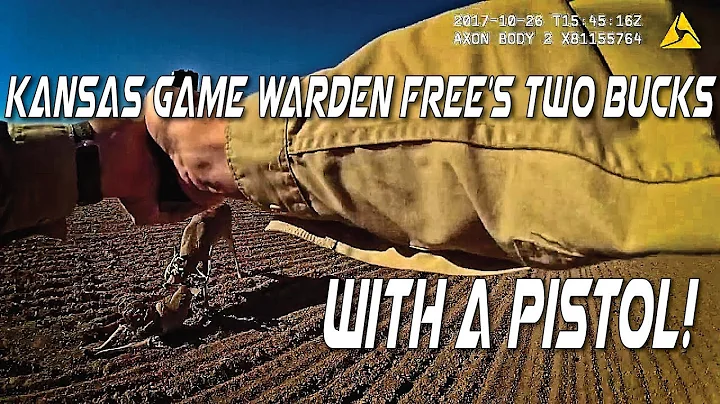 Freeing two locked bucks with a Pistol!