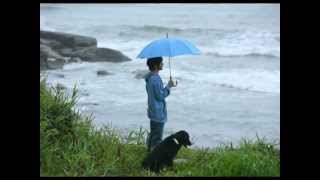 1 Minute in the rain ♥ Relax Amazing Sound , Pictures HD